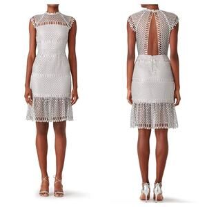 Saylor Silver Illusion Netted Sequin Sheath Dress Small Cocktail Party Fairy